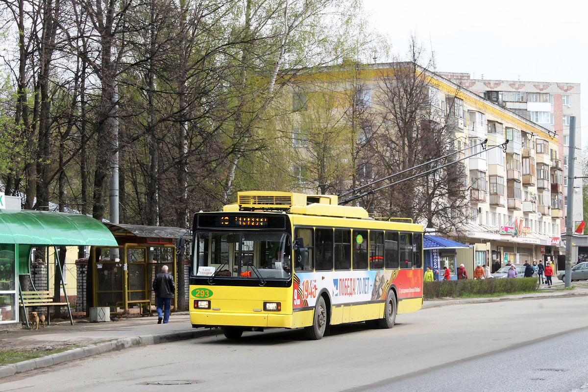 Йошкар-Ола, ВМЗ-52981 № 293