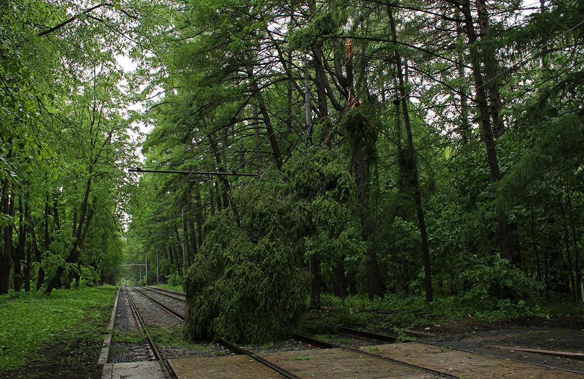Москва — Происшествия Москва — Происшествия