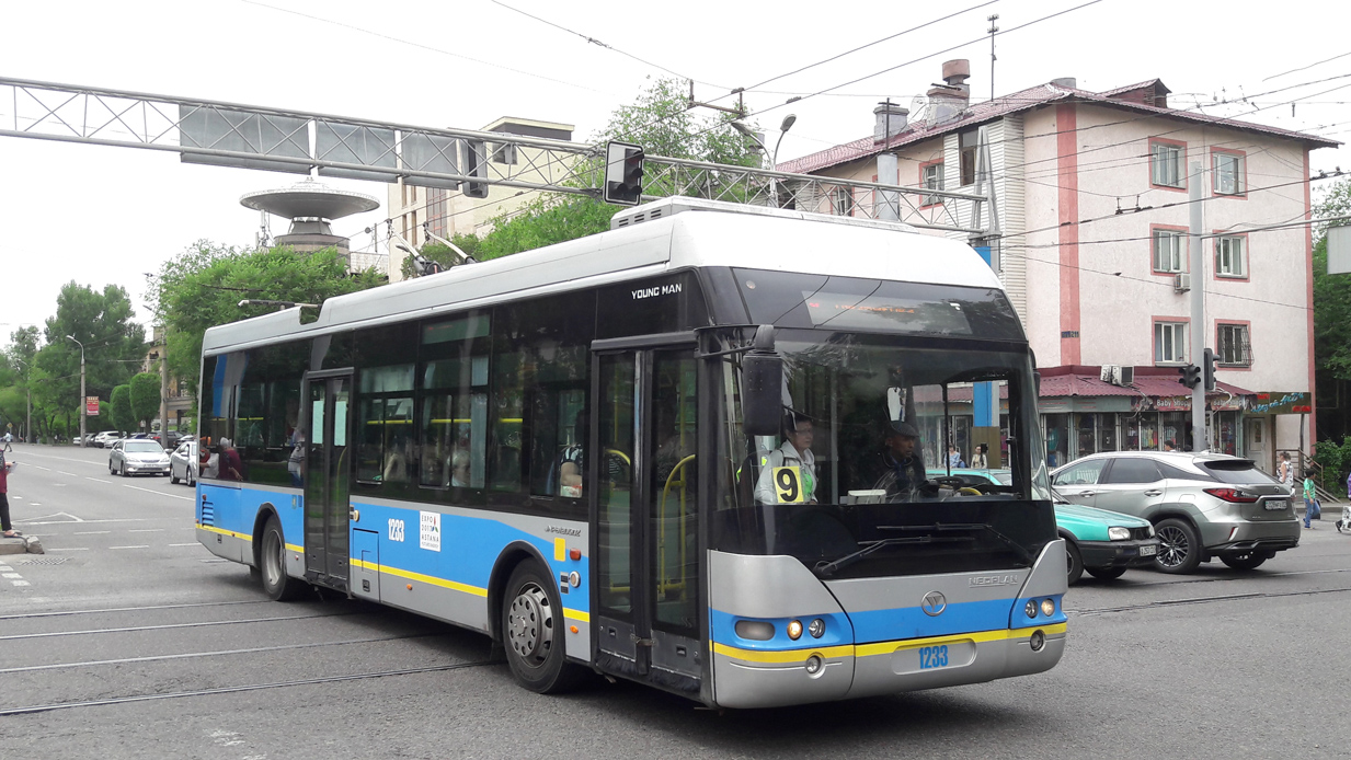 Алматы, YoungMan JNP6120GDZ (Neoplan Kazakhstan) № 1233