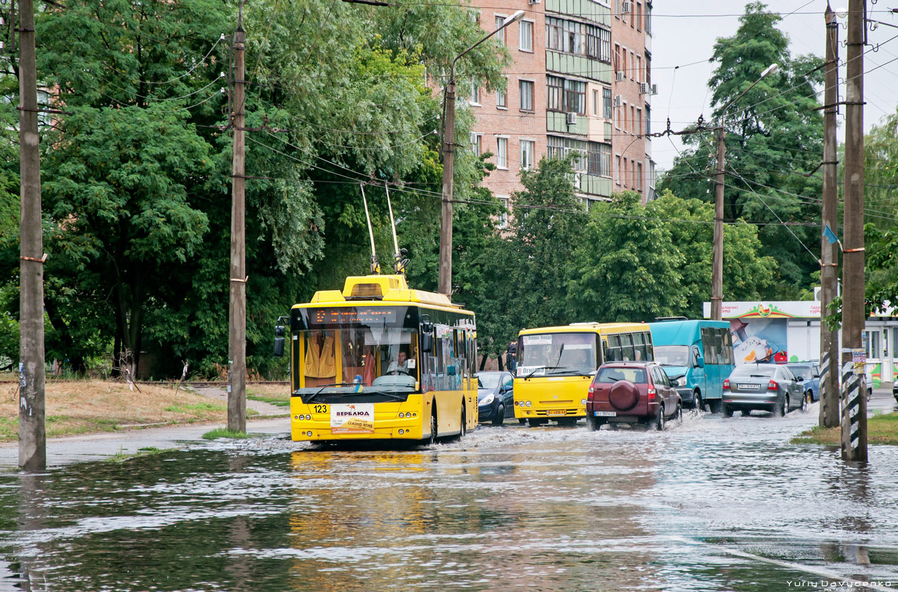 Полтава, Богдан Т70110 № 123