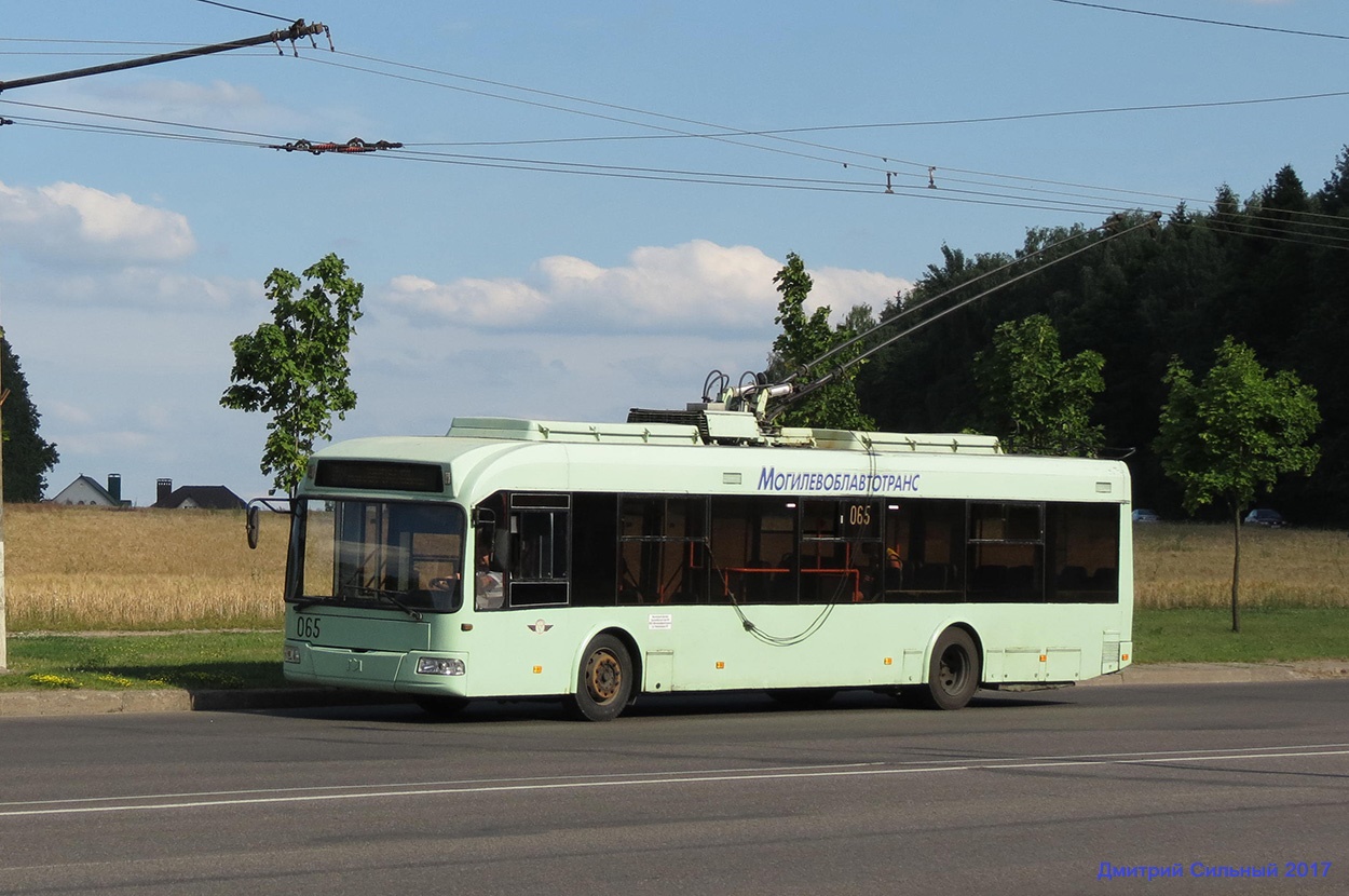 Могилёв, БКМ 32102 № 065