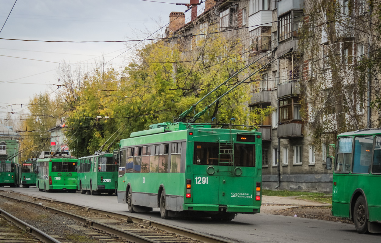 Новосибирск, Тролза-5275.05 «Оптима» № 1291