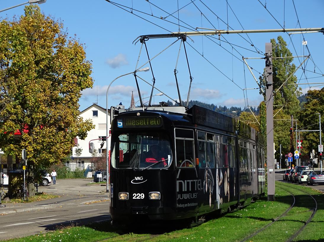 Фрайбург-в-Брайсгау, Duewag GT8NF № 229