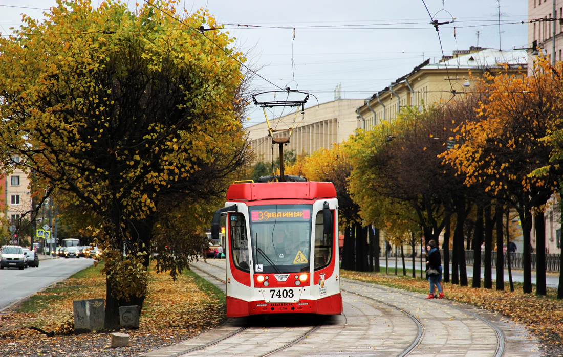 Санкт-Петербург, 71-631-02 № 7403