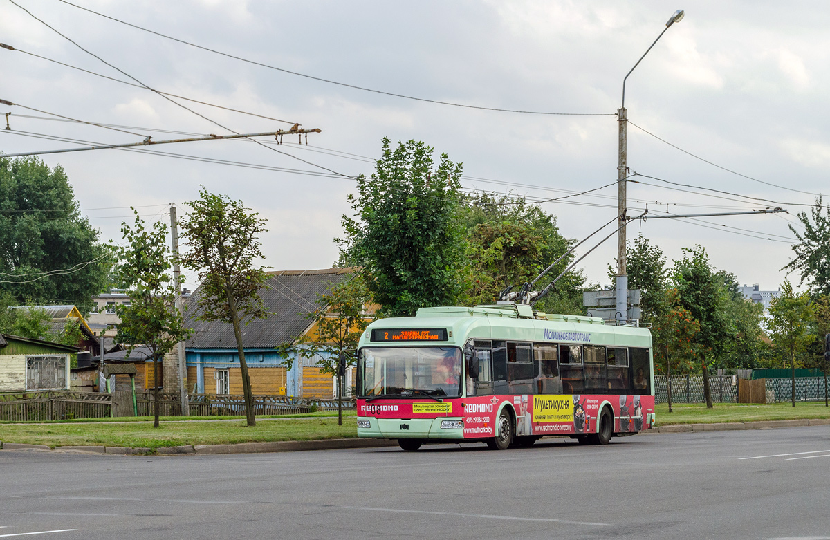 Mogilev, BKM 32102 # 108