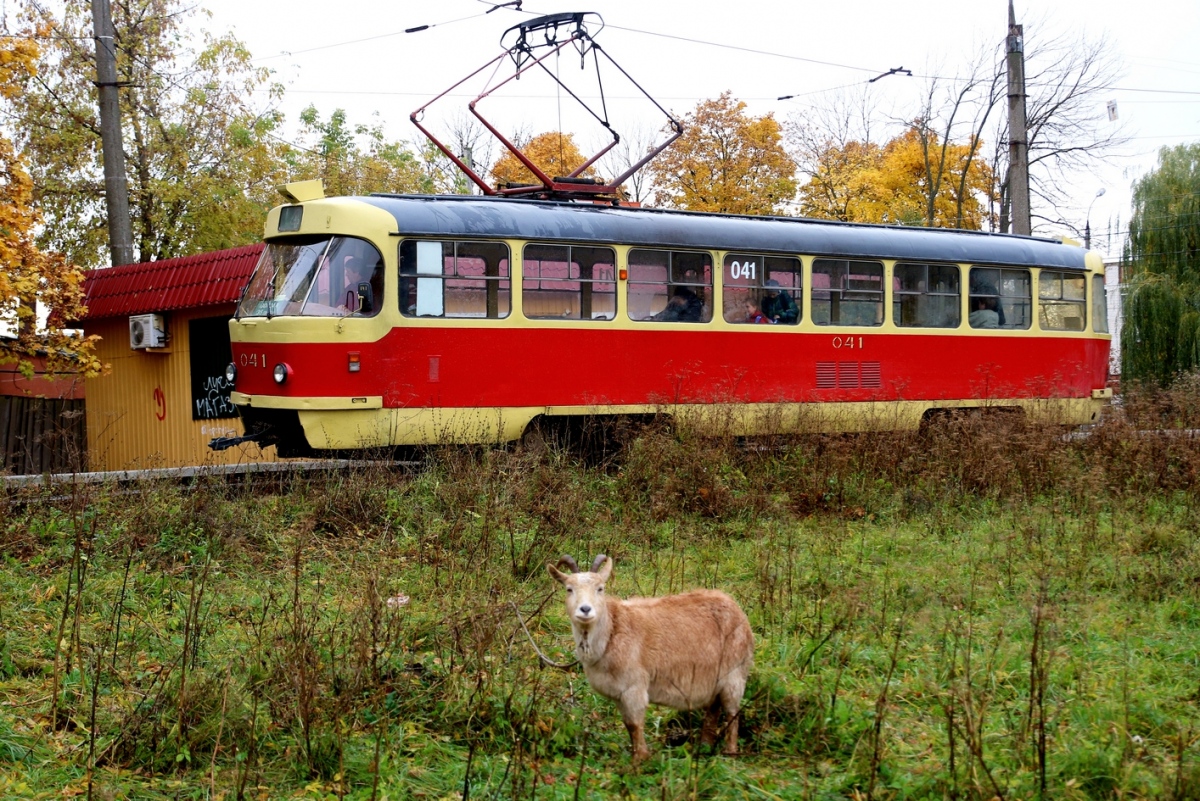 Oryol, Tatra T3SU Br. 041; Transport and animals; Oryol — Конкурсные фотографии ГЭТ Орла
