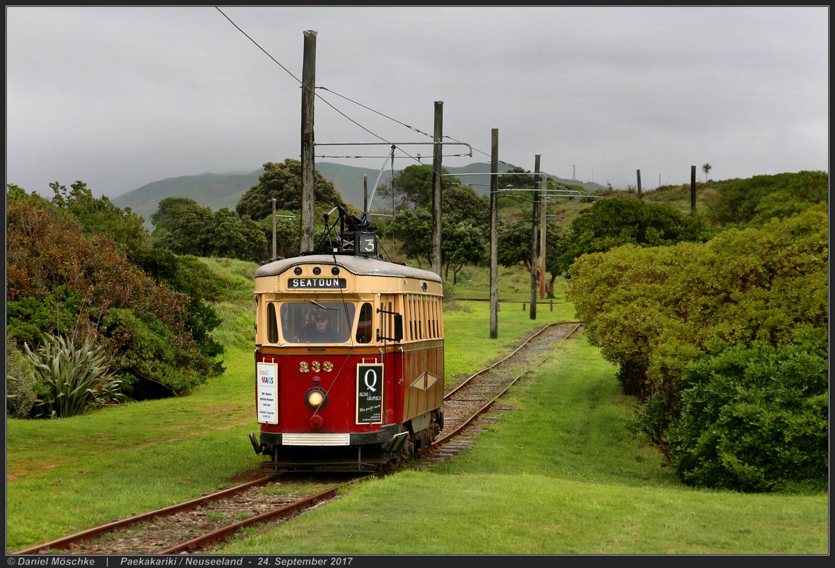 Паекакарики, Wellington City Tramways Company Ltd № 239