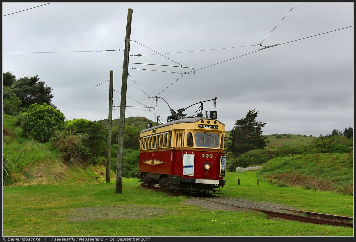 Паекакарики, Wellington City Tramways Company Ltd № 239