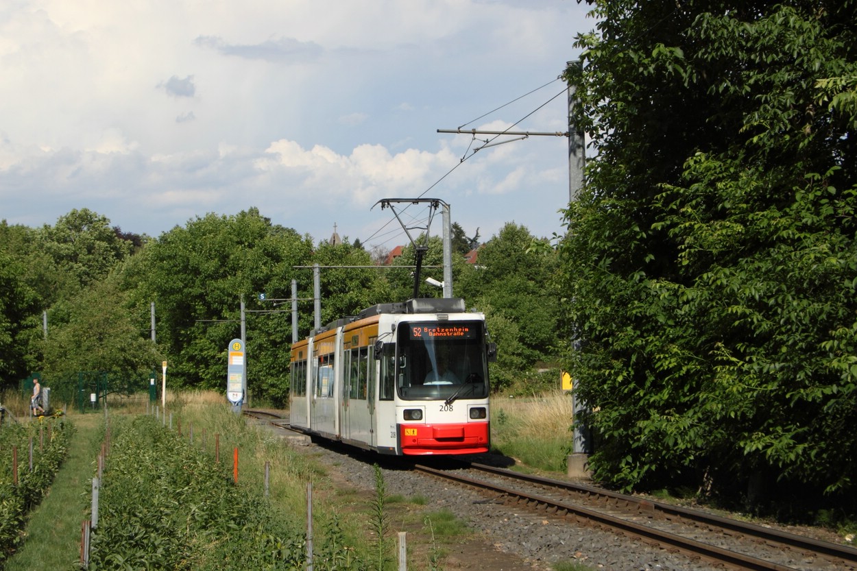 Майнц, Adtranz GT6M-ZR № 208
