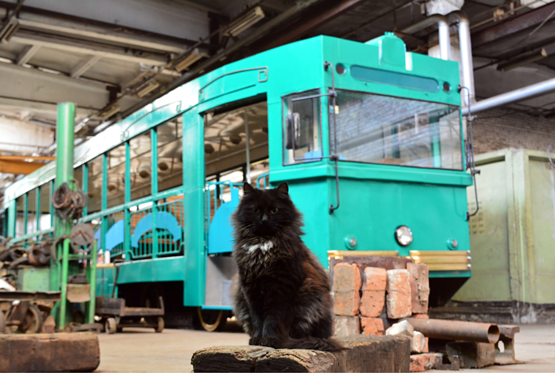 Vladivostok — Miscellaneous photos