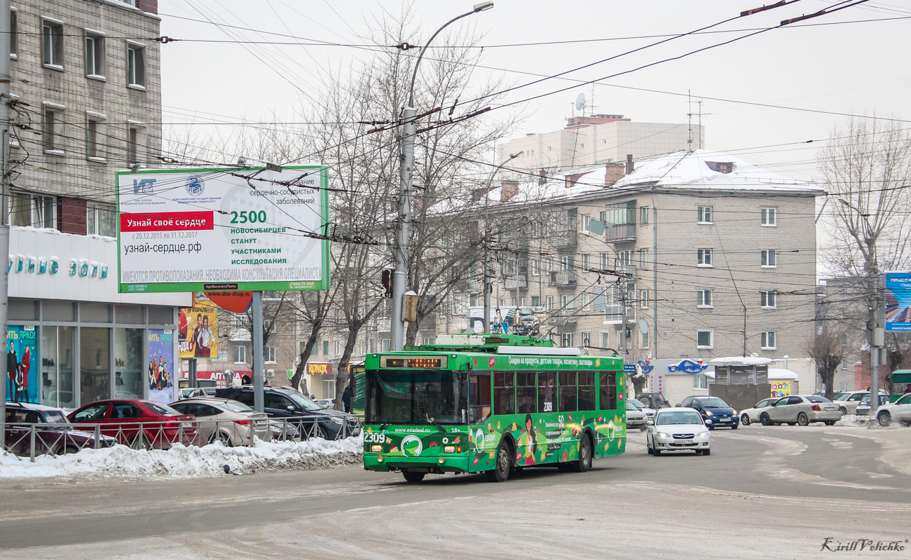 Novosibirskas, Trolza-5275.06 “Optima” nr. 2309