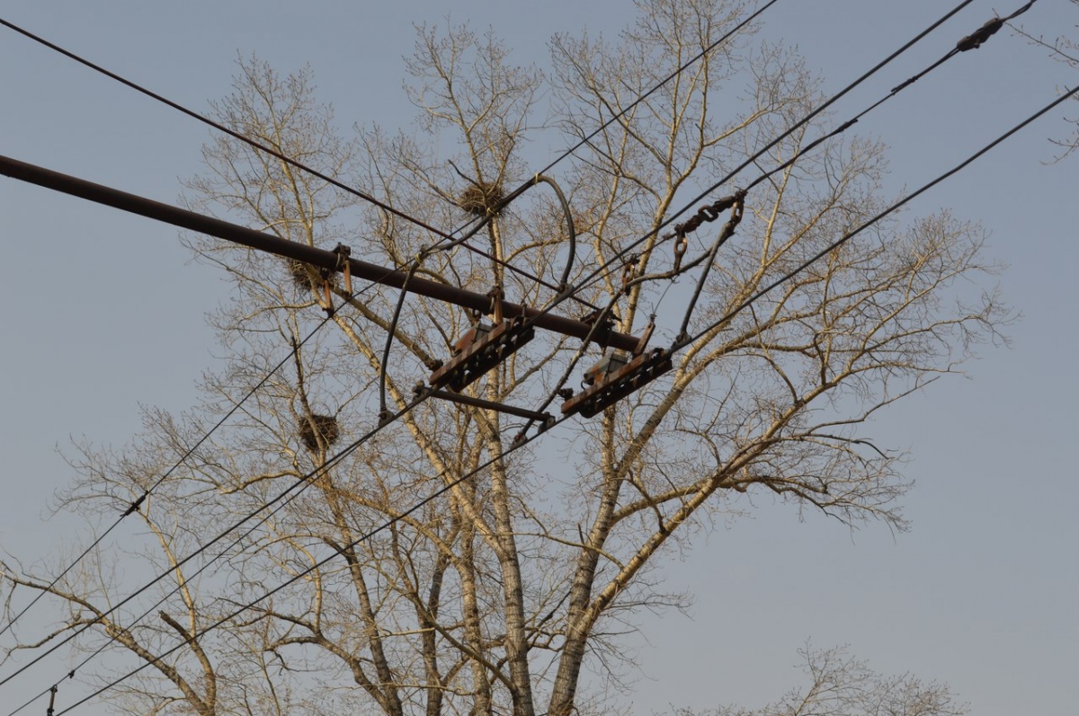 Хабаровск — Линии электротранспорта и инфраструктура