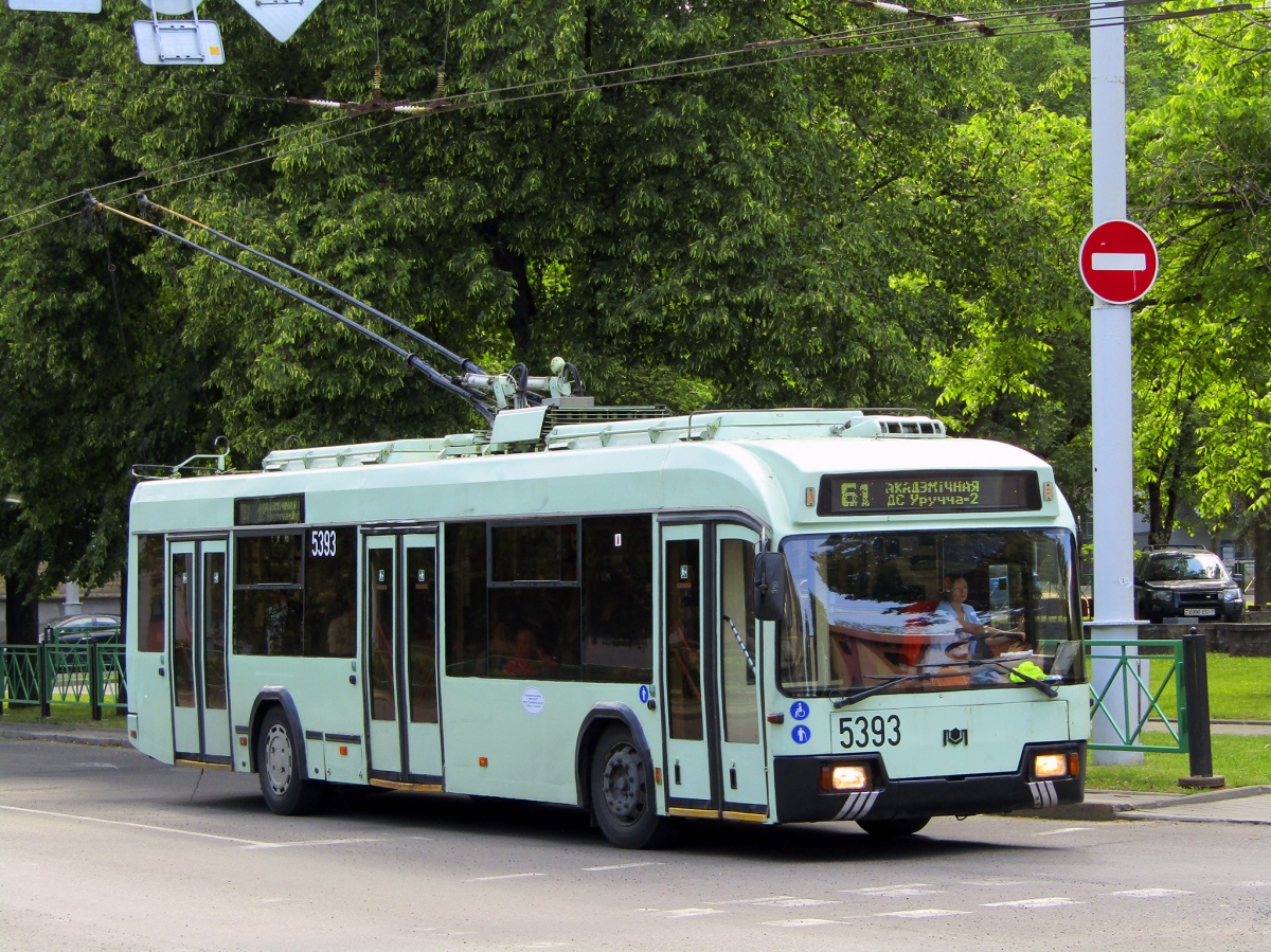 Minskas, BKM 321 nr. 5393