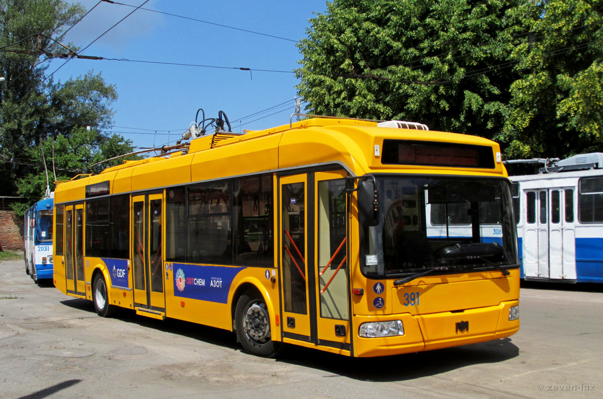 Čerkasi, BKM 321 Br. 391