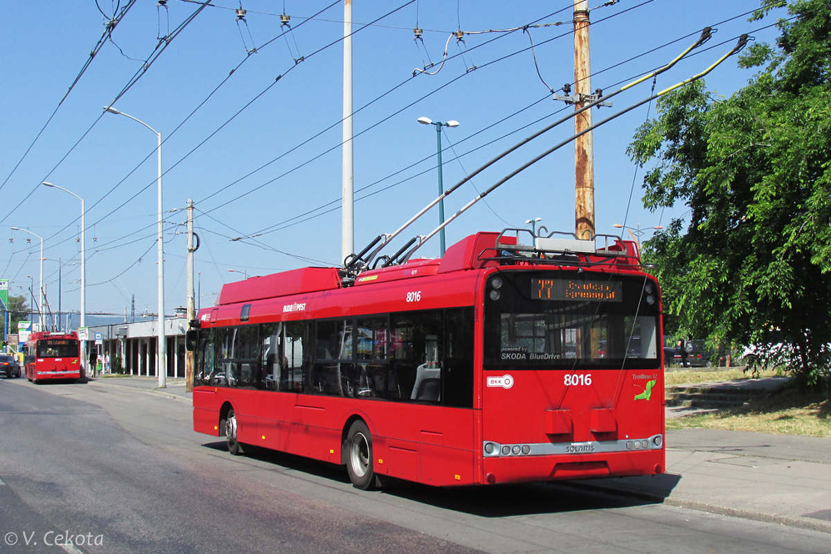 Будапеща, Solaris Trollino III 12 Škoda № 8016