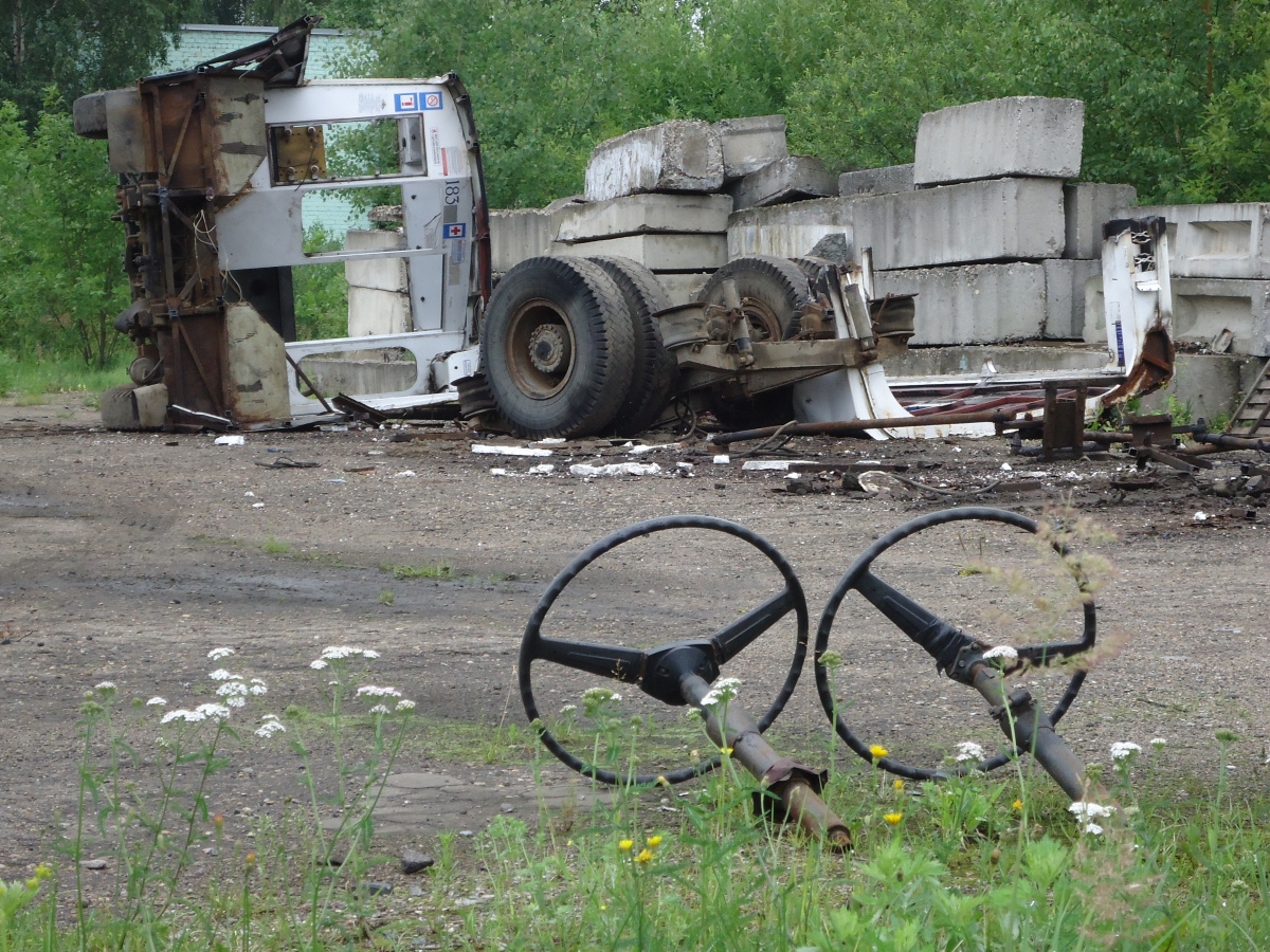 Ярославль, Тролза-62052.02 [62052В] № 183