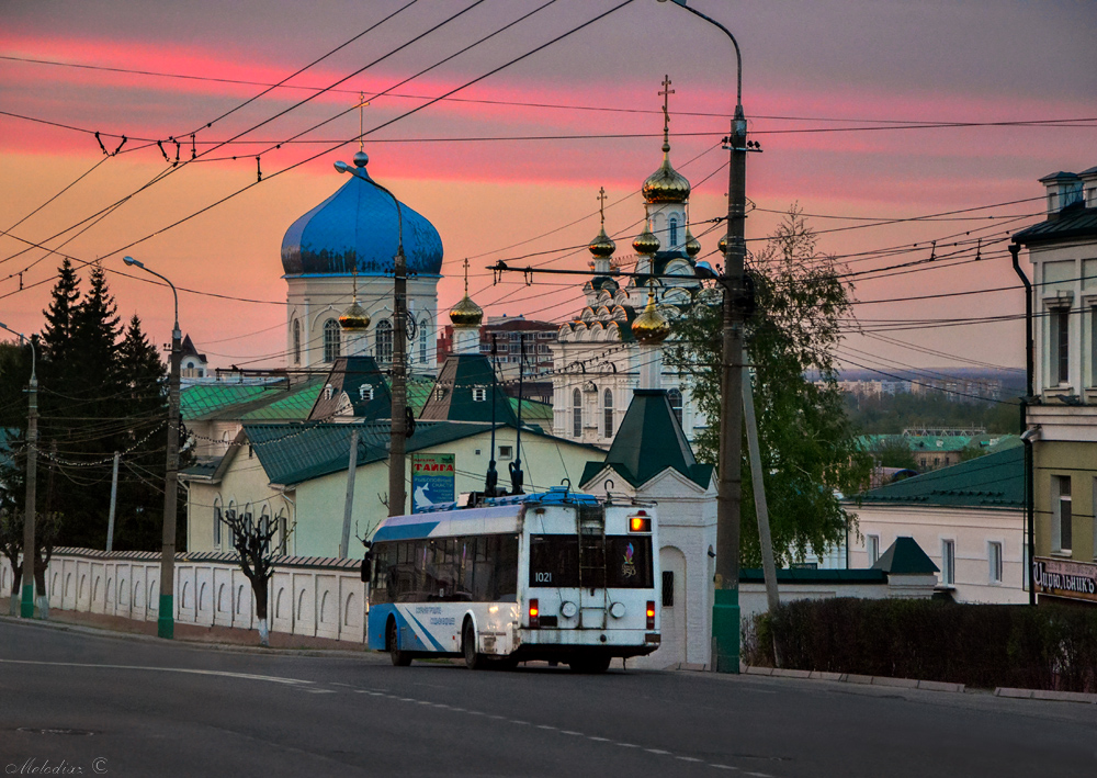 Пенза, БКМ 321 № 1021