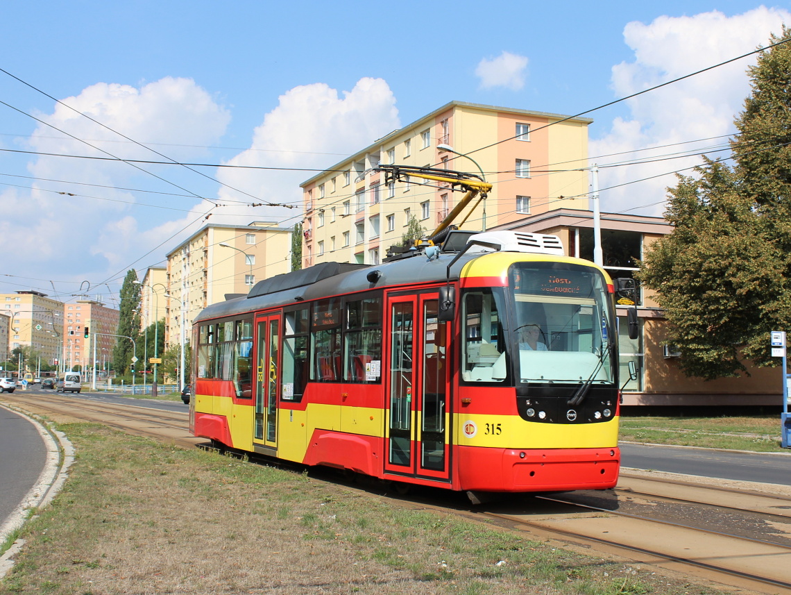 Мост ― Литвинов, Vario LF+ № 315