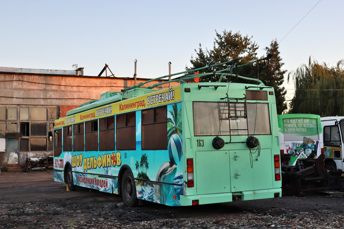 Калининград, Тролза-5275.05 «Оптима» № 163