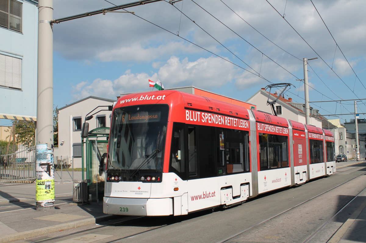Грац, Stadler Variobahn № 239