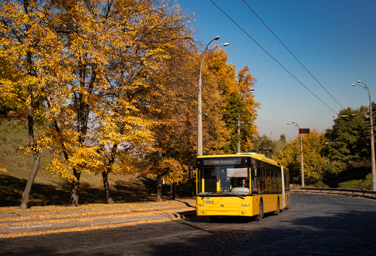 Киев, Богдан Т90110 № 2313
