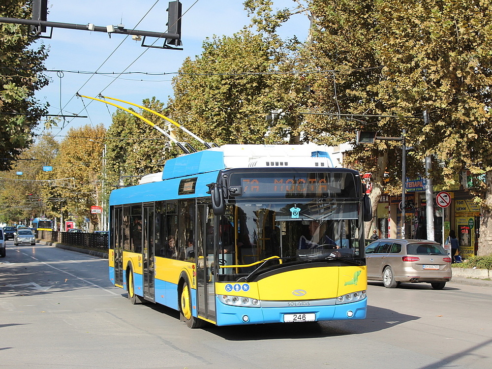 Plevna, Solaris Trollino III 12 Škoda Nr. 246