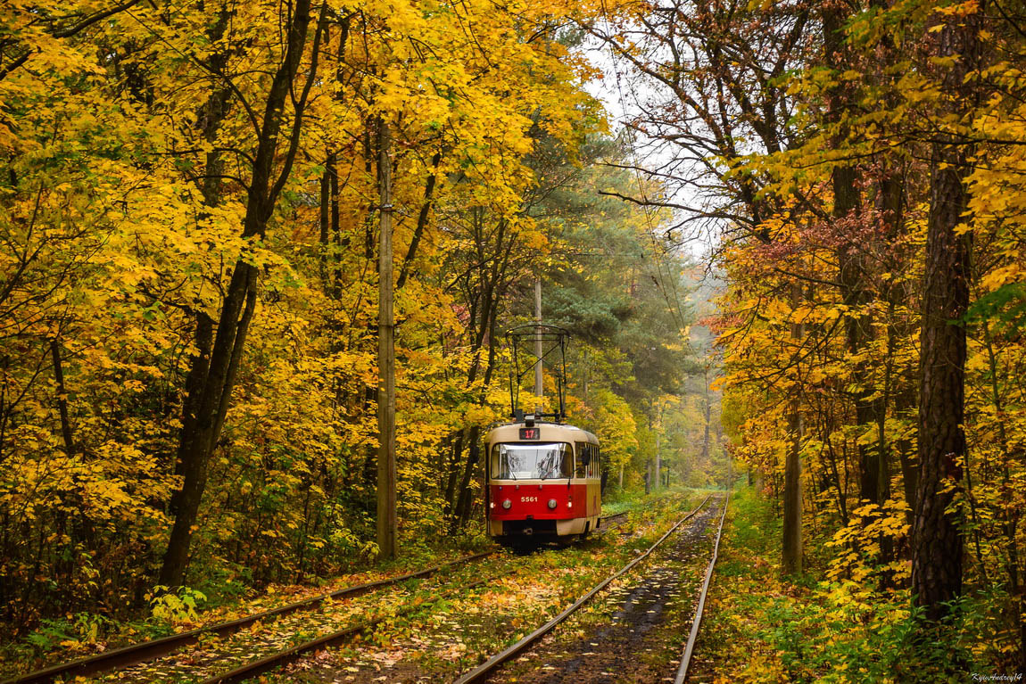 Kijev, Tatra T3SUCS — 5561