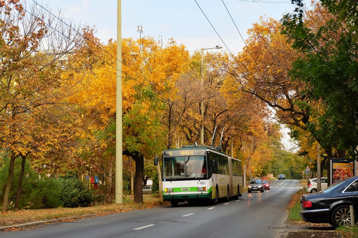 Сегед, Škoda 15Tr03/6 № T-603