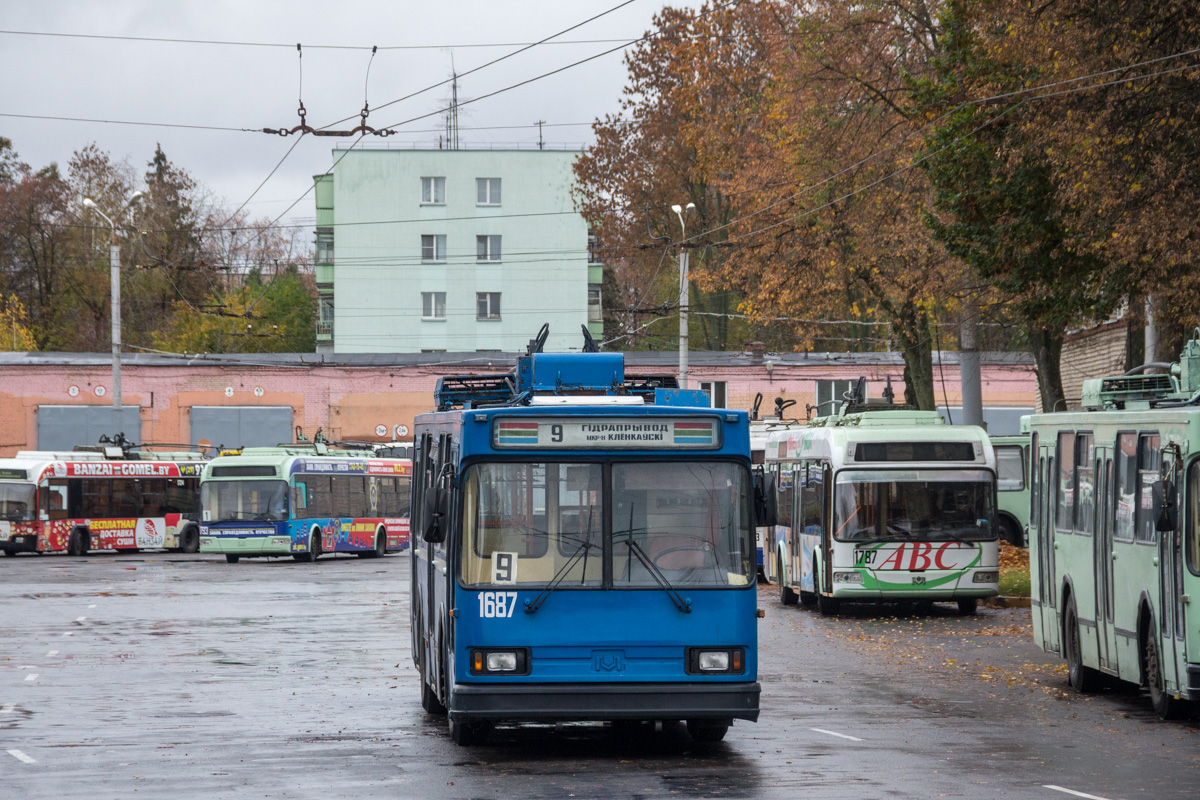 Homiel, BKM 20101 № 1687