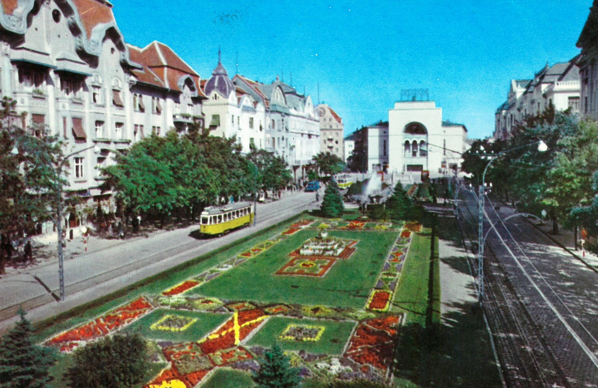 Тимишоара — Линии и инфраструктура