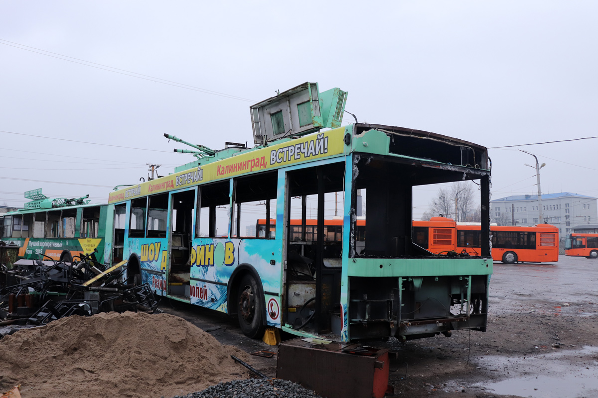 Калининград, Тролза-5275.05 «Оптима» № 163