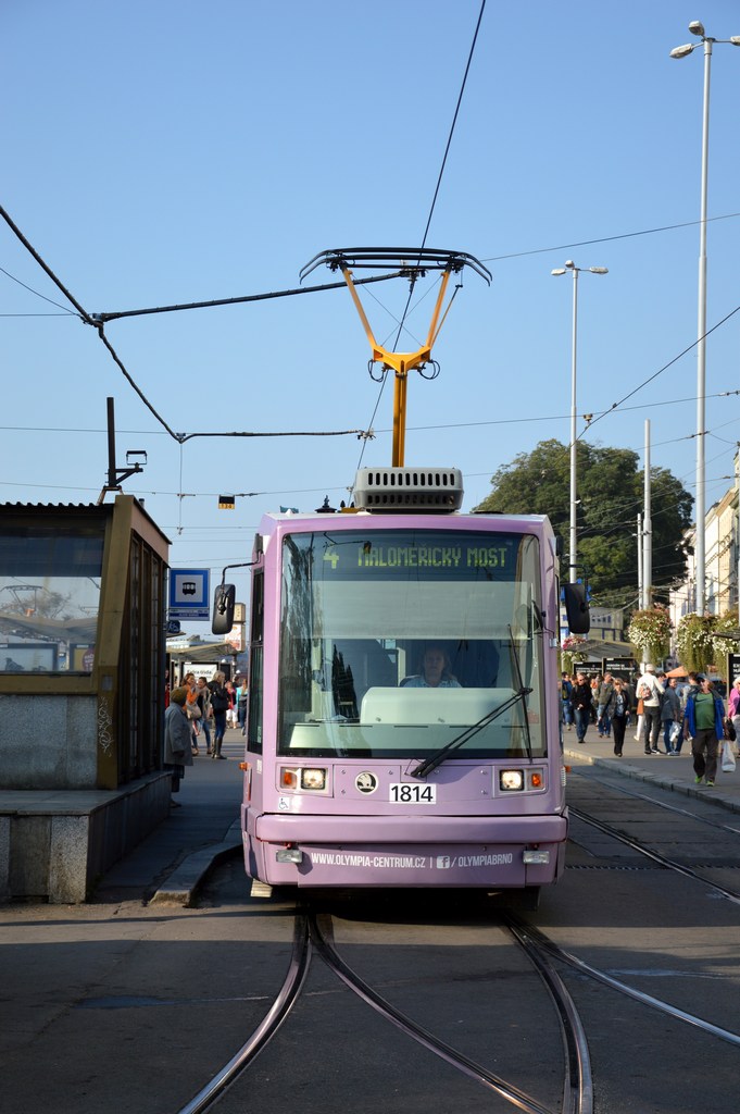 Брно, Škoda 03T6 Anitra № 1814