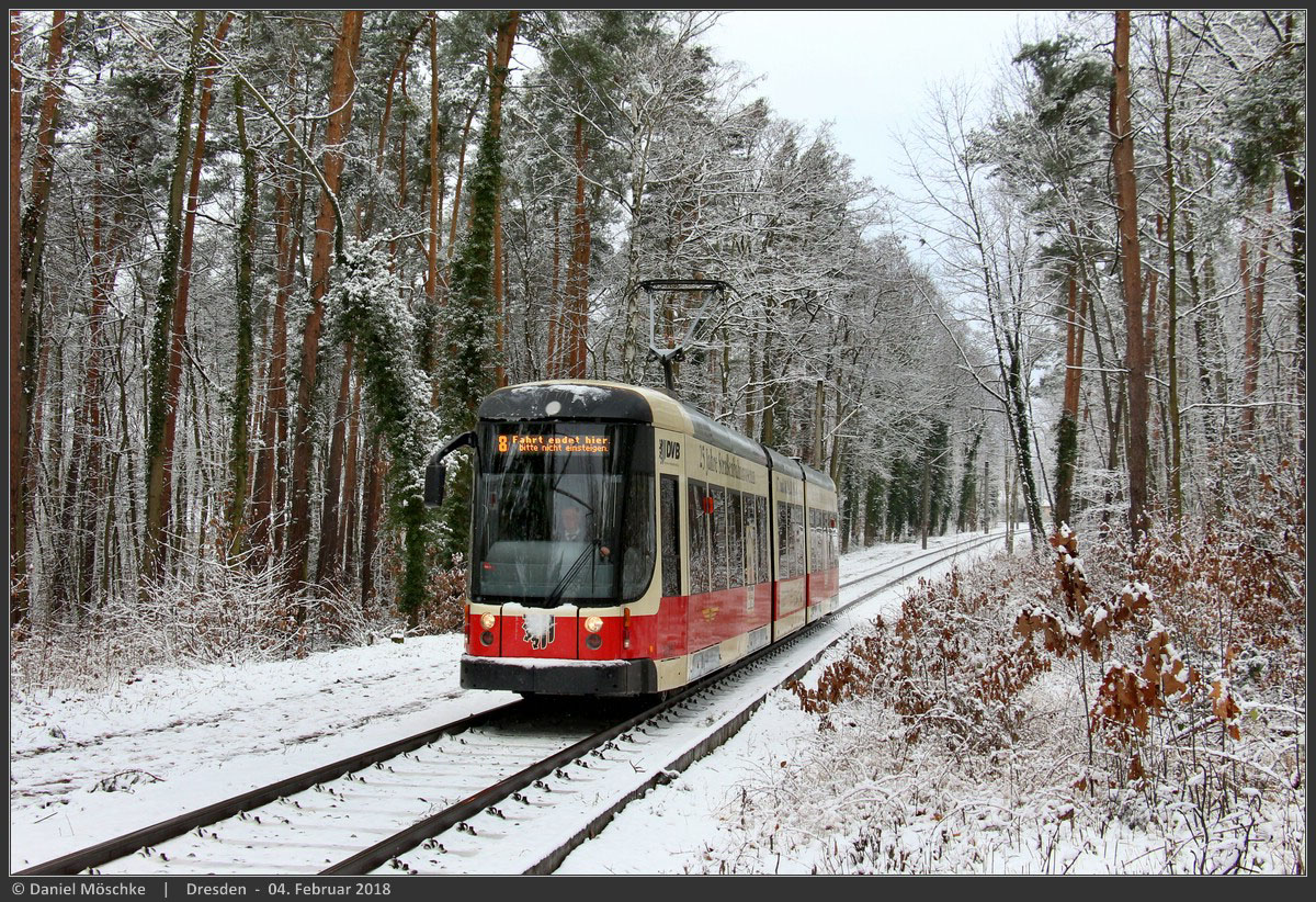 Дрезден, Bombardier NGT D8 DD 	 № 2625; Дрезден — Последний день трамвайного движения в кольце «Дибштайг» (04.02.2018)