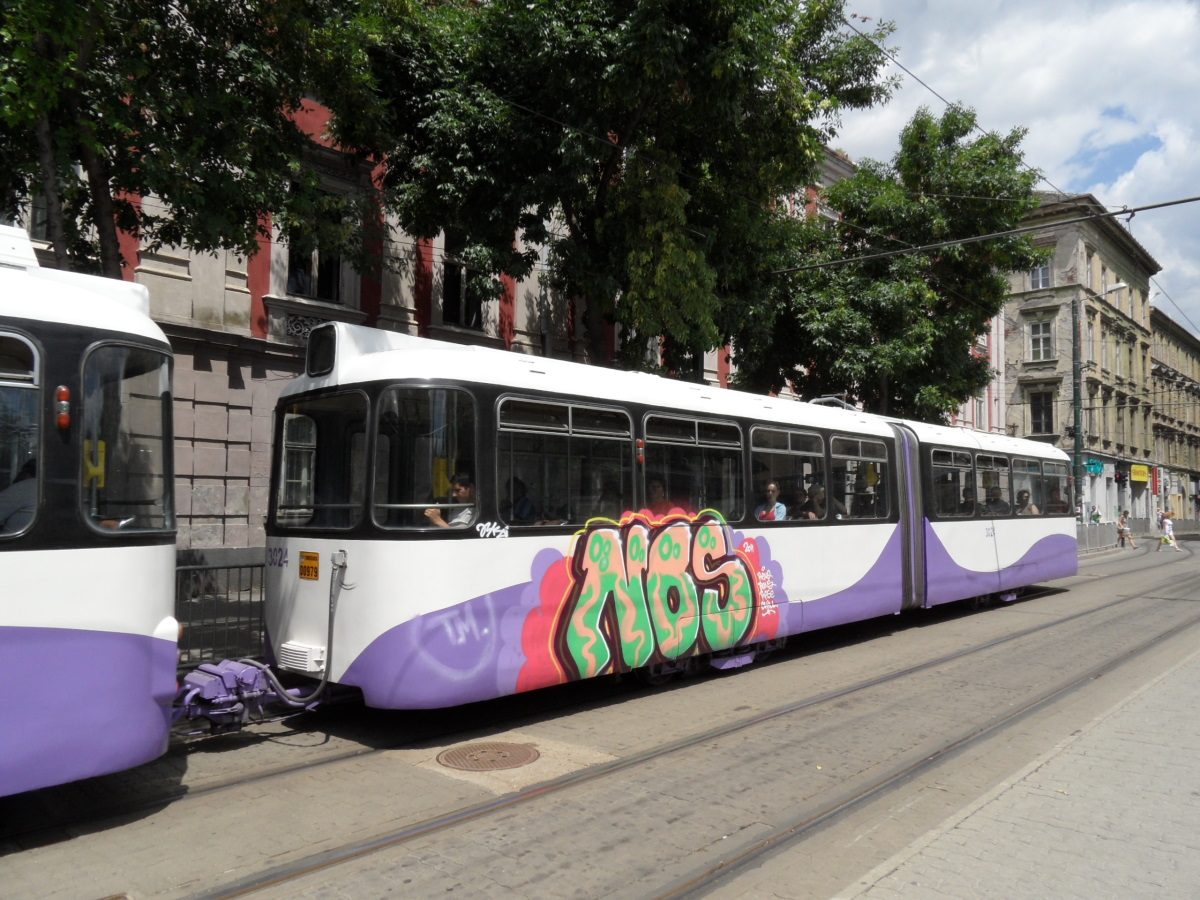 Тимишоара, Rathgeber p3.17 № 3024