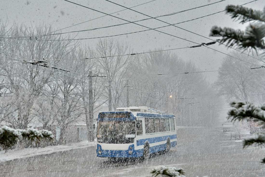 Владивосток, ЗиУ-682Г-016.02 № 254; Владивосток — Снегопады