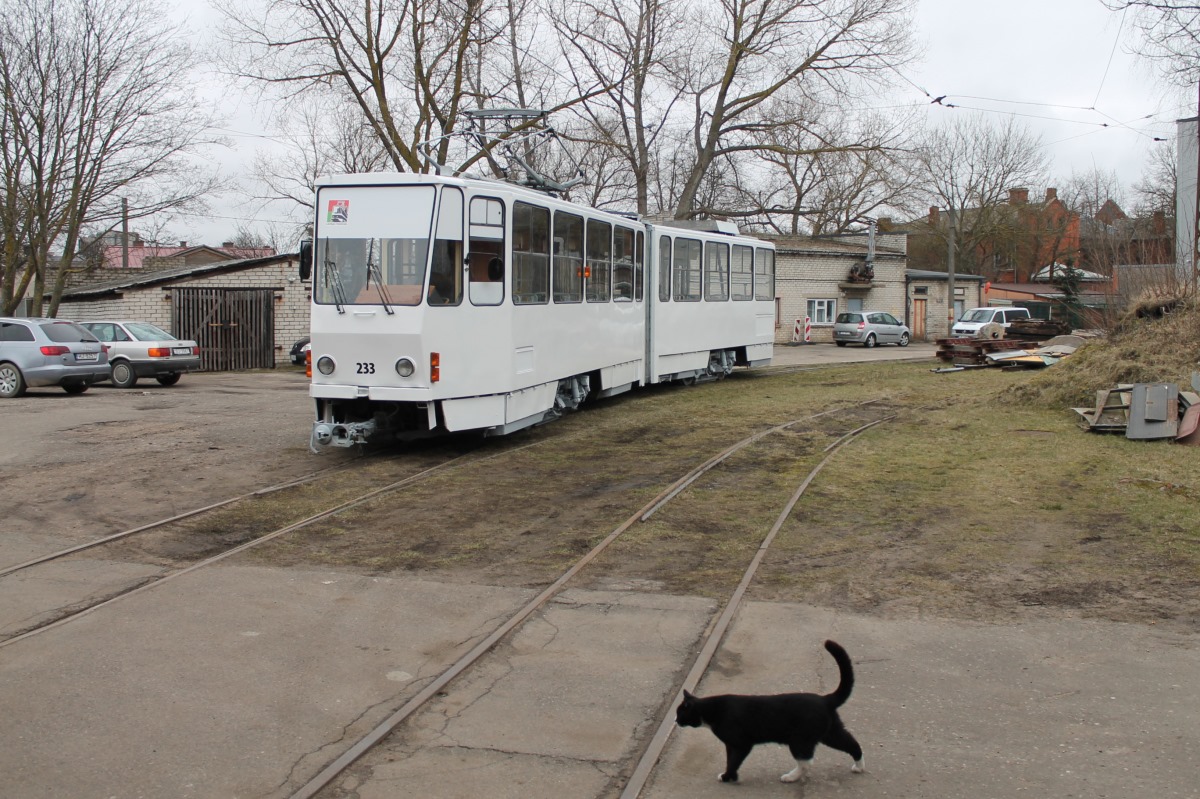 Lipawa, Tatra KT4SU Nr 233; Transport and animals