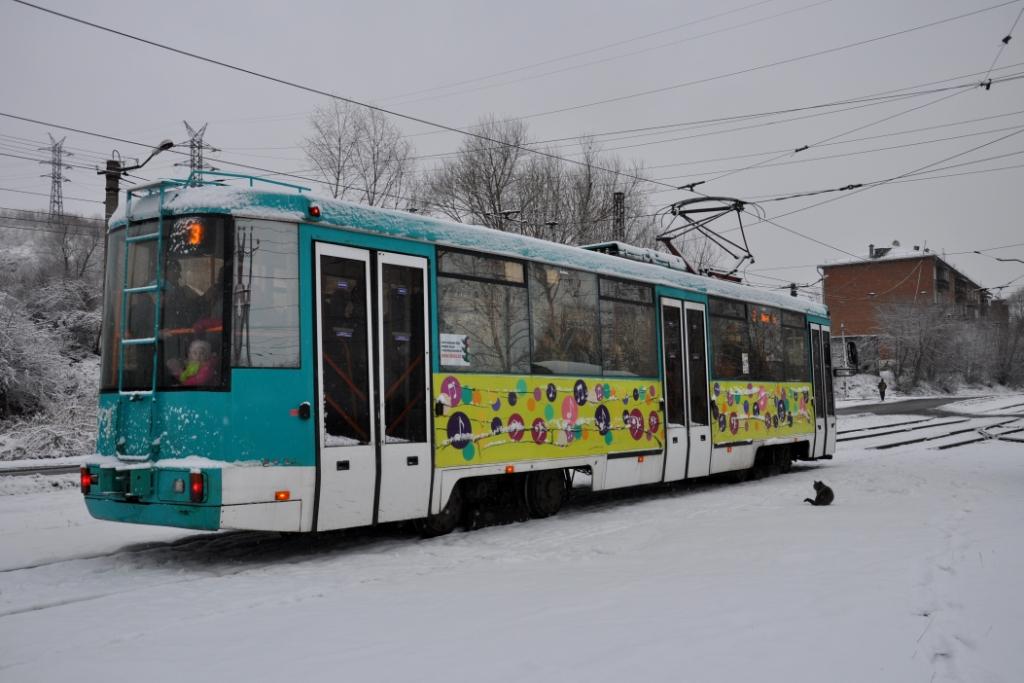 Осинники, БКМ 60102 № 71; Транспорт и животные