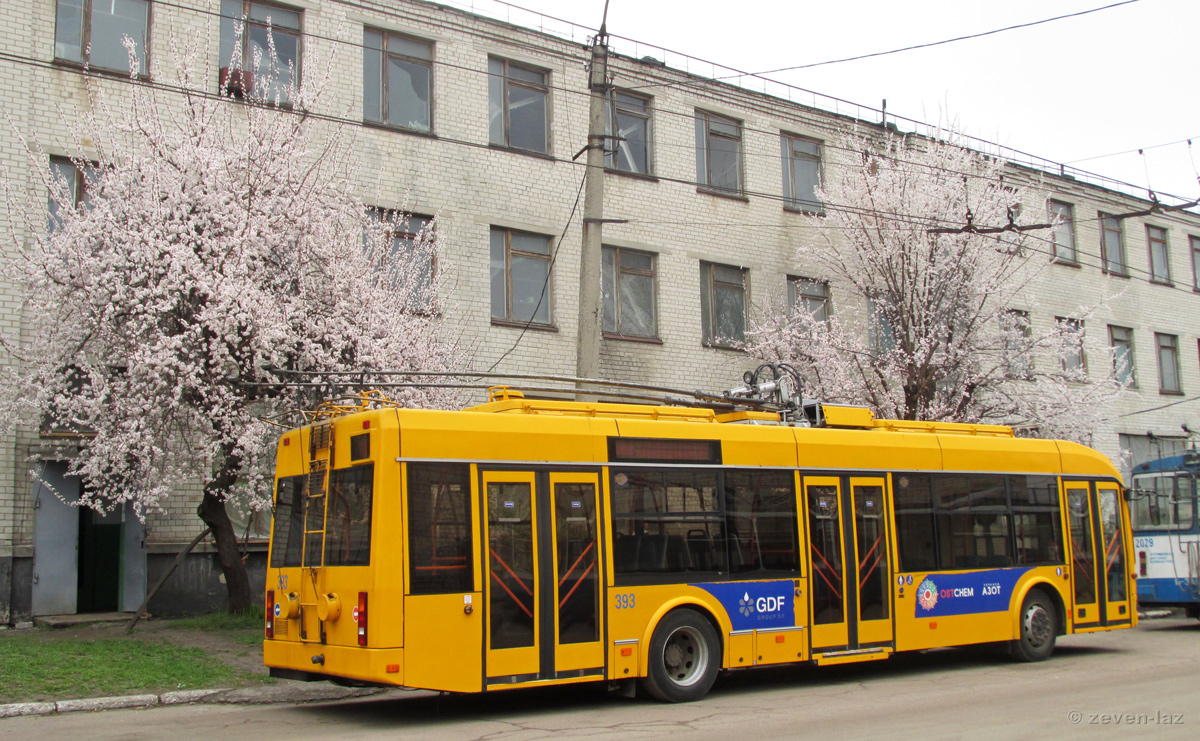 Čerkasy, BKM 321 č. 393