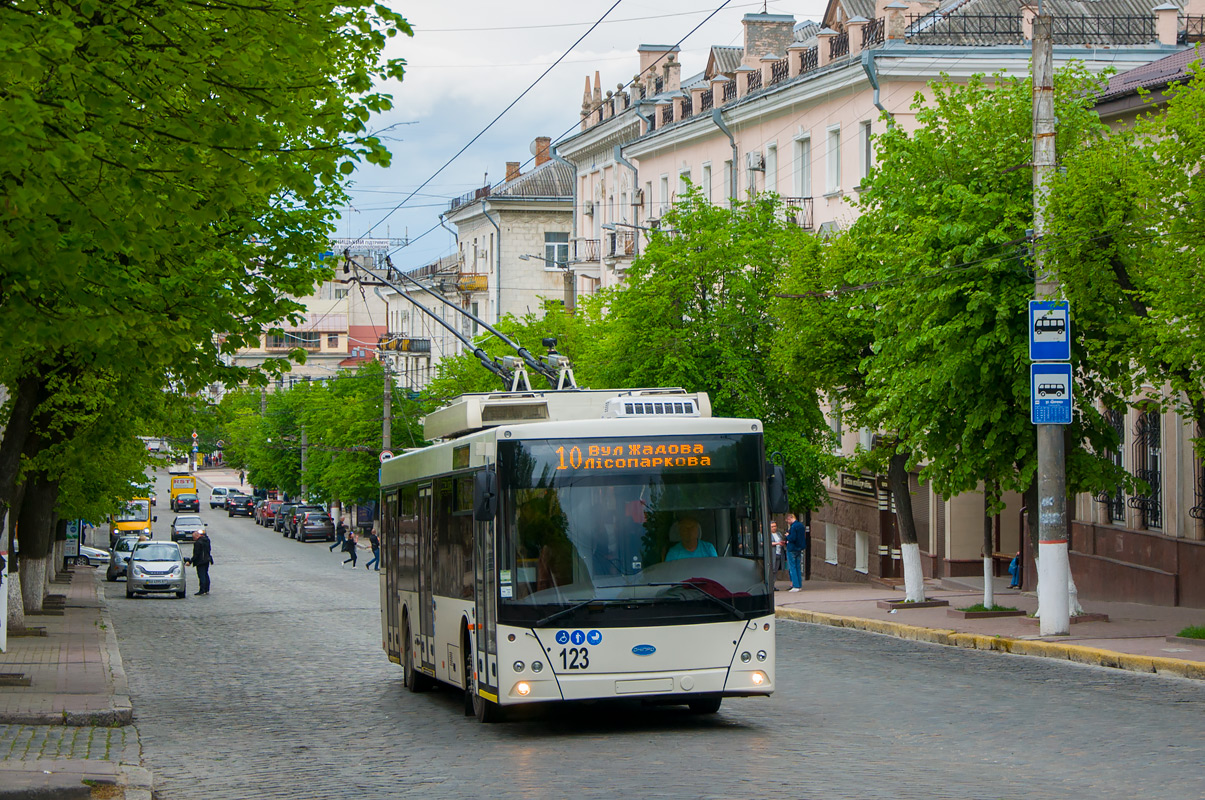 Кропивницкий, Дніпро Т203 № 123