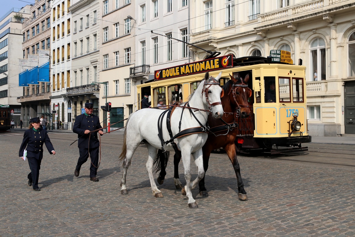 Bruksela, Nivelles 2-axle motor car Nr 1750; Bruksela — Festivities on the occasion of 150 years of tram (30/04/2019 — 05/05/2019); Transport and animals