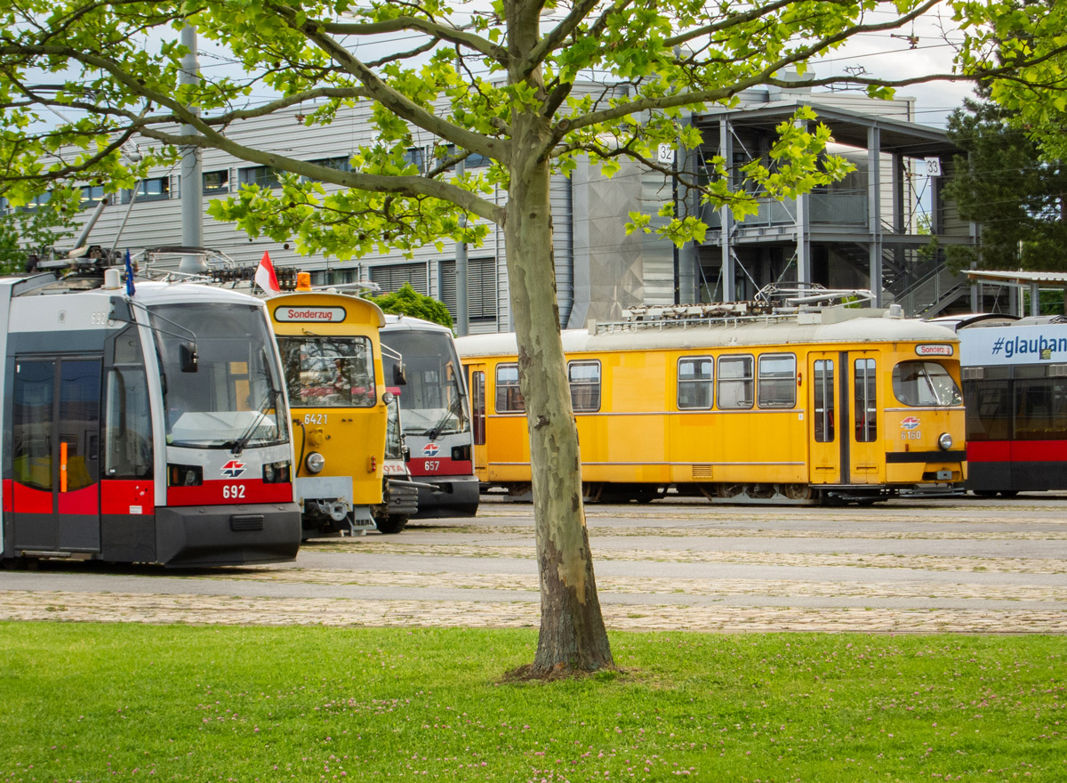 Вена, Siemens ULF-B № 692; Вена — Tramwaytag 2019 Вена, Siemens ULF-B № 692; Вена — Tramwaytag 2019