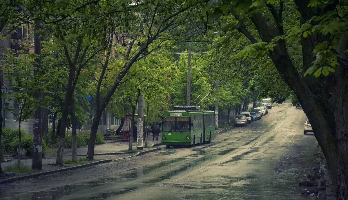 Kijiva — Trolleybus lines: Solomianka, Vidradnyi