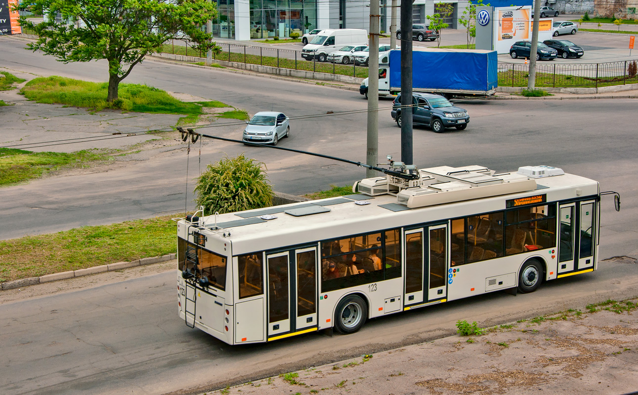 Кропивницкий, Дніпро Т203 № 123