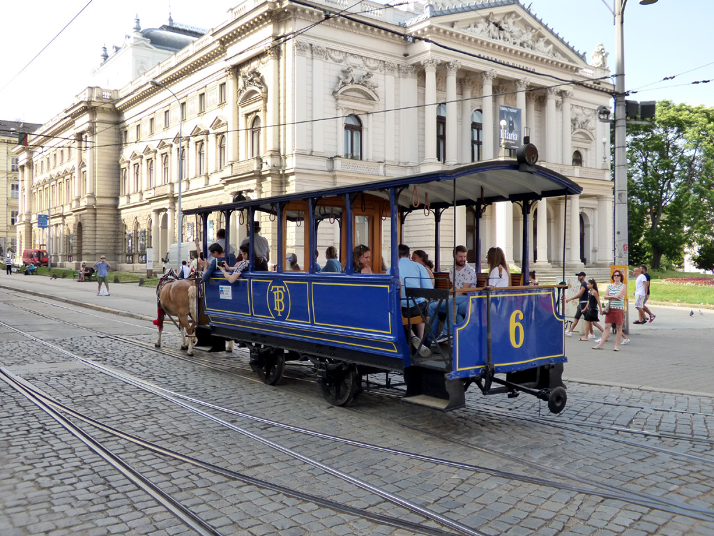 Brno, Horse car № 6; Brno — Dopravní nostalgie 2019