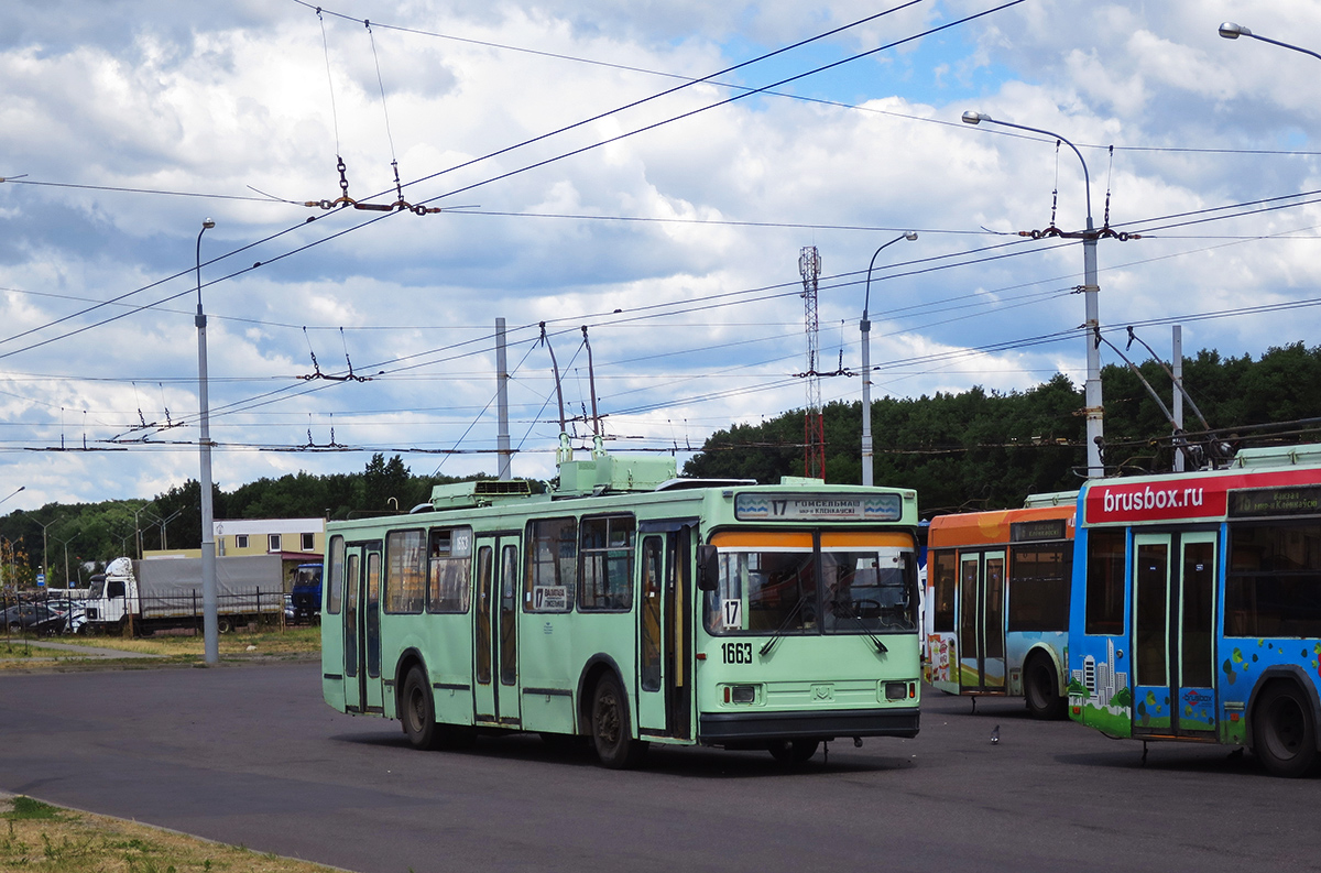 Homiel, BKM 20101 č. 1663