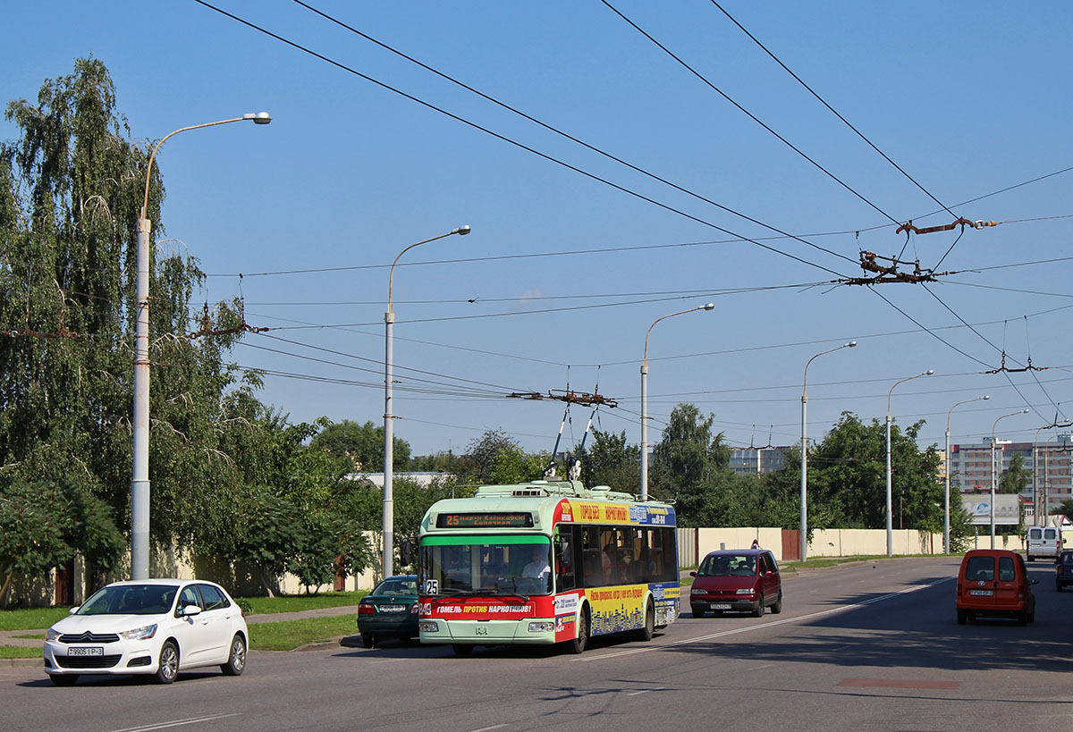 Gomelis, BKM 321 nr. 1849