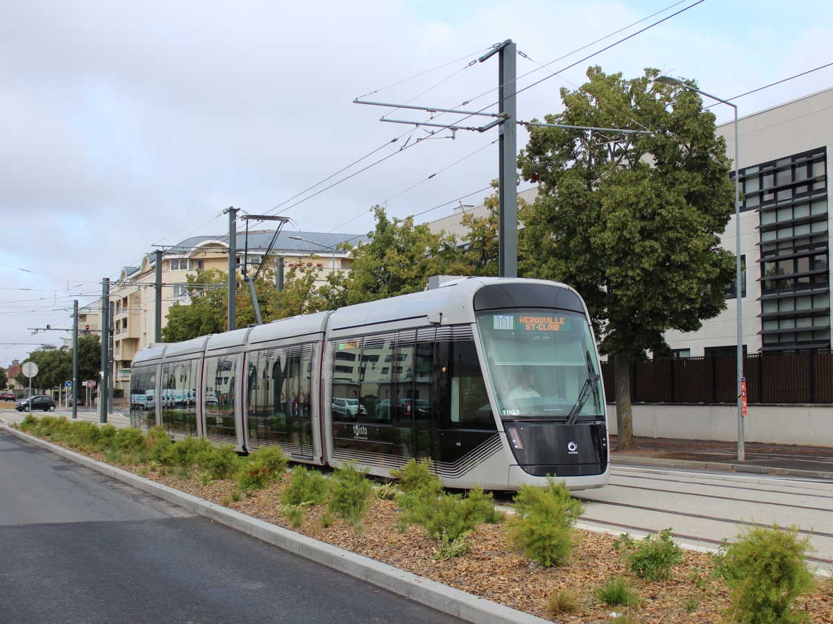 Кан, Alstom Citadis 305 № 1003