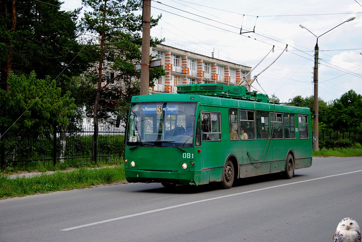 Dzerzhinsk, Trolza-5264.05 “Sloboda” č. 081