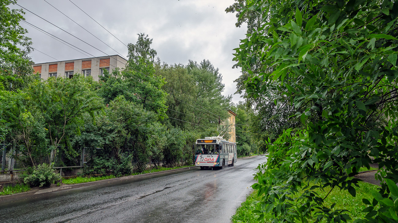 Петрозаводск — Троллейбусные линии и инфраструктура