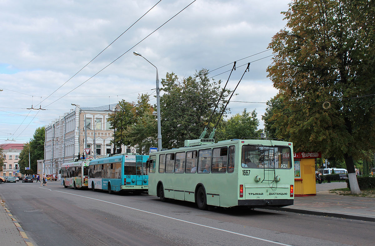 Gomelis, BKM 20101 nr. 1667